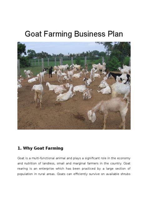 project report on goat farming pdf